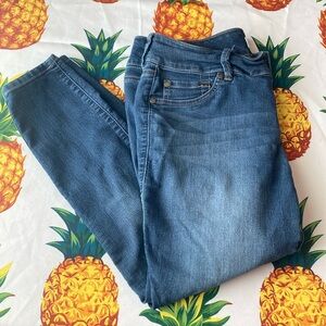 Torrid Jegging Jeans